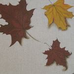 Autumn leaf // 