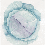 Rödkål // 21 x 32 cm