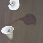 Black and white lilies // 