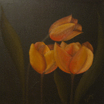 Hösttulpan // 