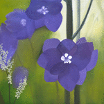 Praktriddarsporre // 40 x 40 cm