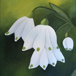 Snöklockor // 65 x 45 cm